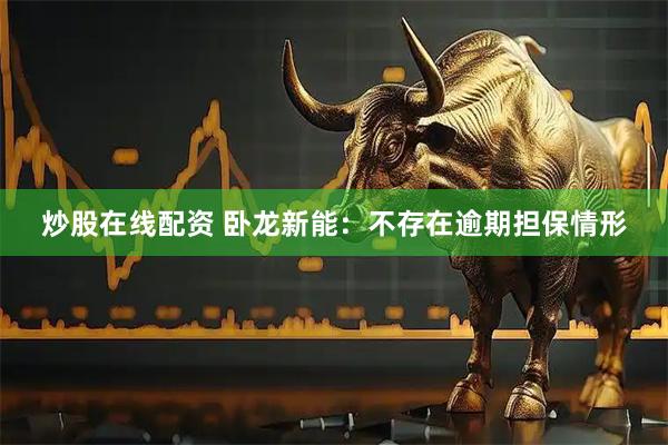 炒股在线配资 卧龙新能：不存在逾期担保情形